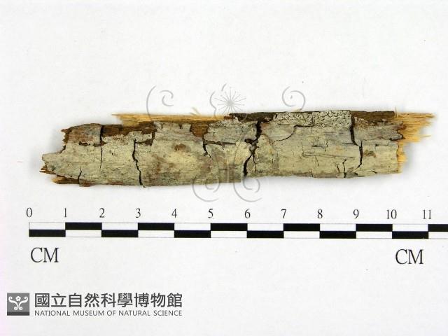 登錄號:F0001958藏品圖，第1張