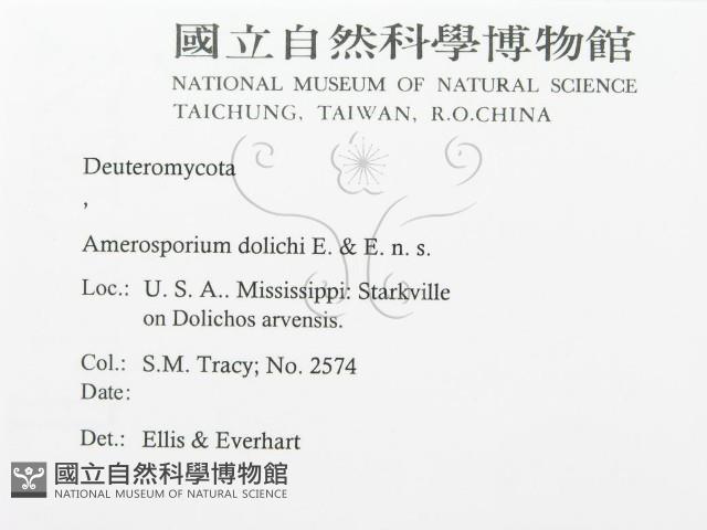 登錄號:F0011958藏品圖，第3張
