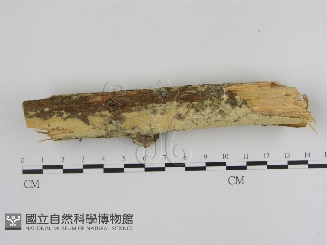 登錄號:F0002958藏品圖，第1張
