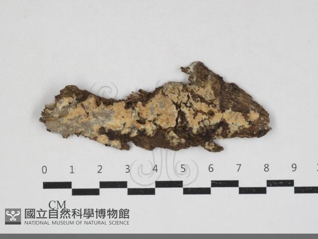 登錄號:F0033958藏品圖，第1張