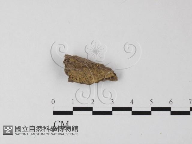 登錄號:F0010658藏品圖，第1張