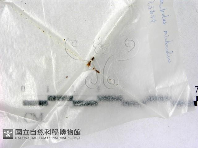 登錄號:F0001658藏品圖，第1張