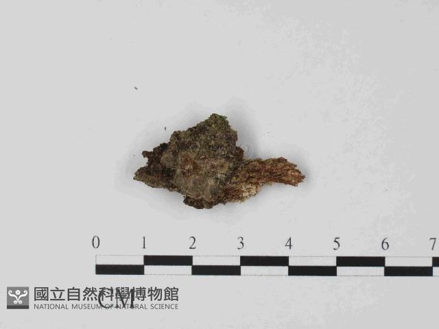 登錄號:F0014658藏品圖，第1張
