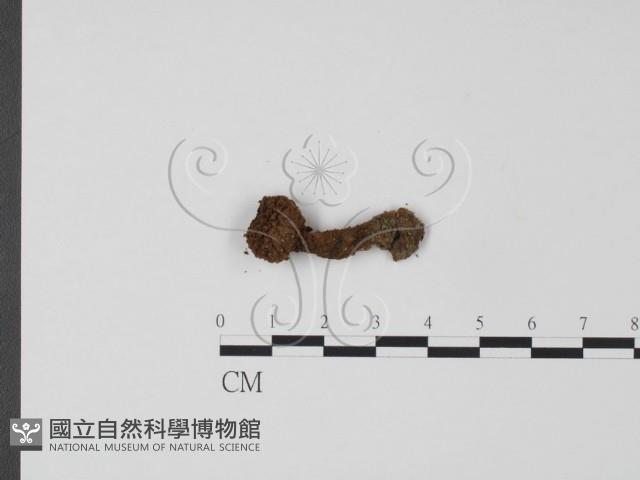 登錄號:F0002658藏品圖，第1張
