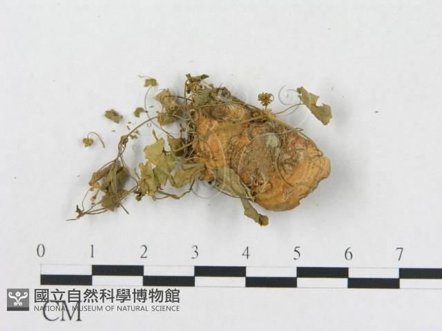 登錄號:F0003658藏品圖，第1張