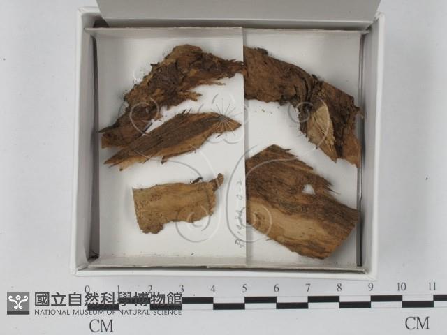登錄號:F0018458藏品圖，第1張