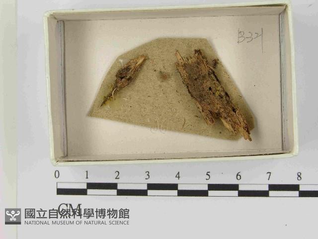 登錄號:F0021458藏品圖，第1張