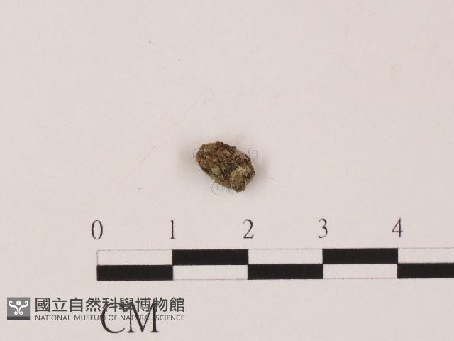 登錄號:F0004458藏品圖，第1張