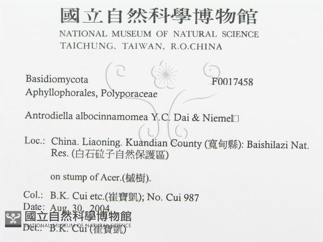 登錄號:F0017458藏品圖，第3張