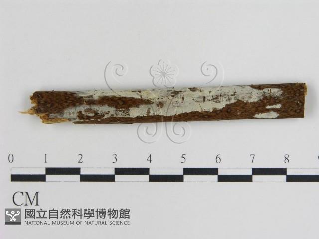 登錄號:F0015458藏品圖，第1張
