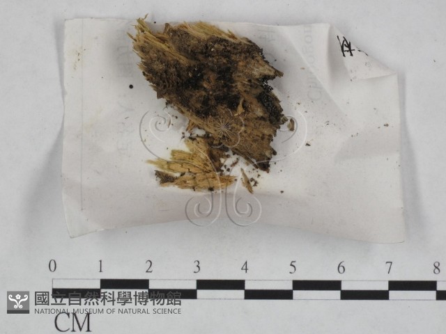 登錄號:F0023458藏品圖，第1張