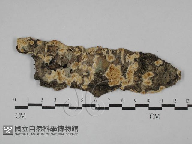 登錄號:F0028758藏品圖，第1張