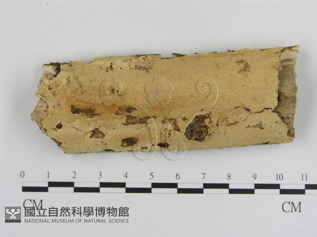 登錄號:F0008758藏品圖，第1張