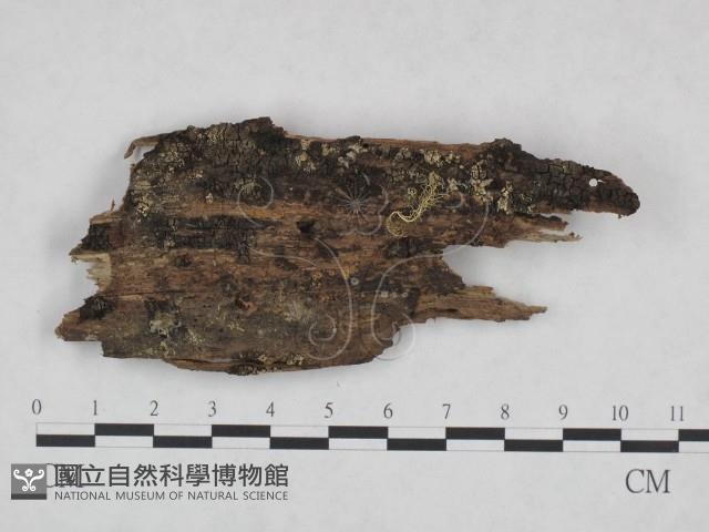 登錄號:F0020758藏品圖，第1張