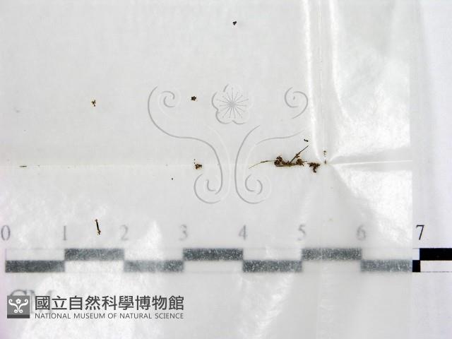 登錄號:F0000758藏品圖，第1張