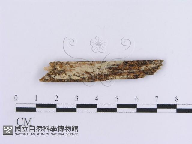 登錄號:F0016758藏品圖，第1張