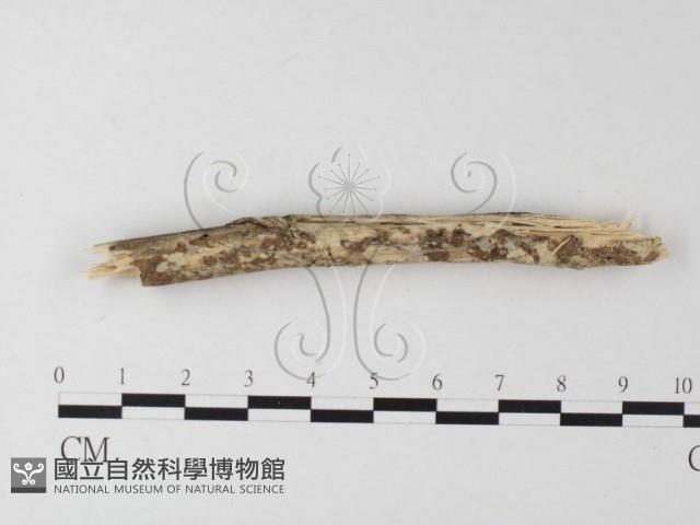 登錄號:F0021758藏品圖，第1張