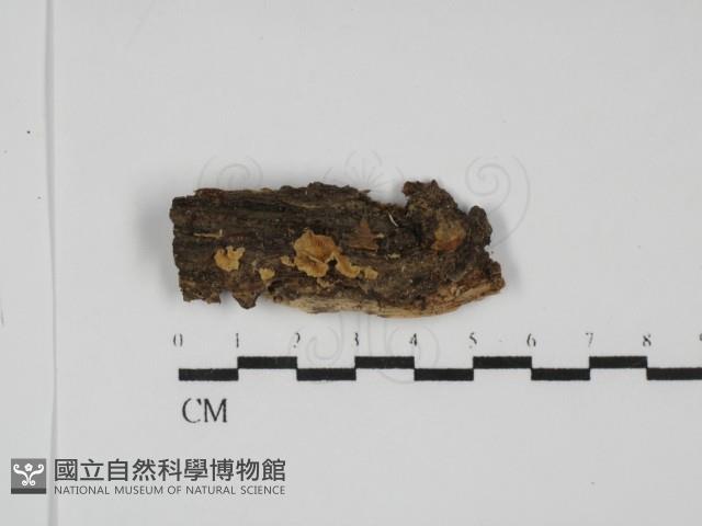 登錄號:F0031758藏品圖，第1張