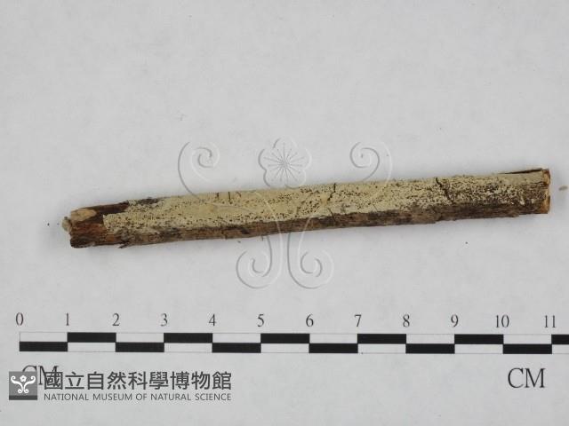 登錄號:F0024758藏品圖，第1張