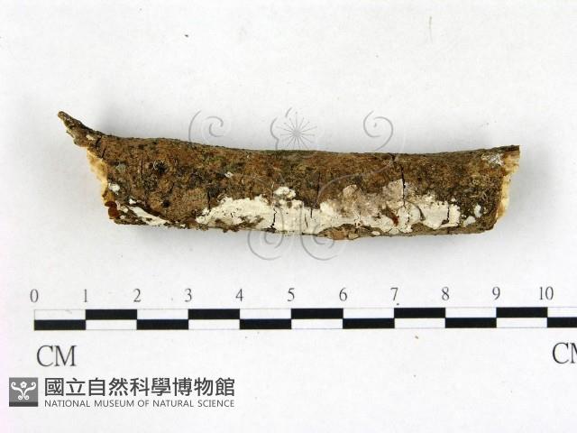 登錄號:F0022758藏品圖，第1張