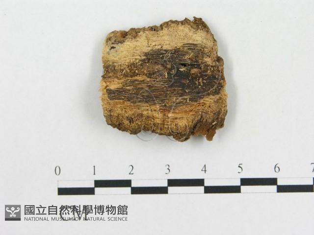 登錄號:F0002758藏品圖，第1張