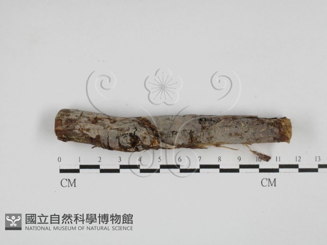 登錄號:F0027758藏品圖，第1張
