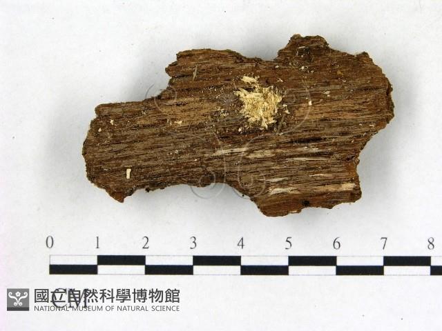 登錄號:F0015758藏品圖，第1張