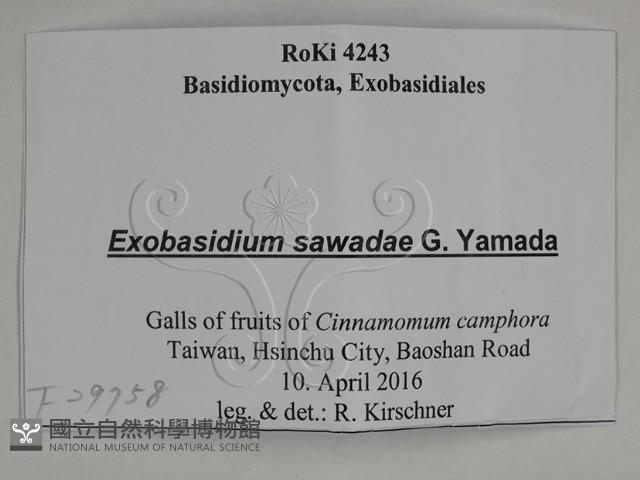 登錄號:F0029758藏品圖，第3張
