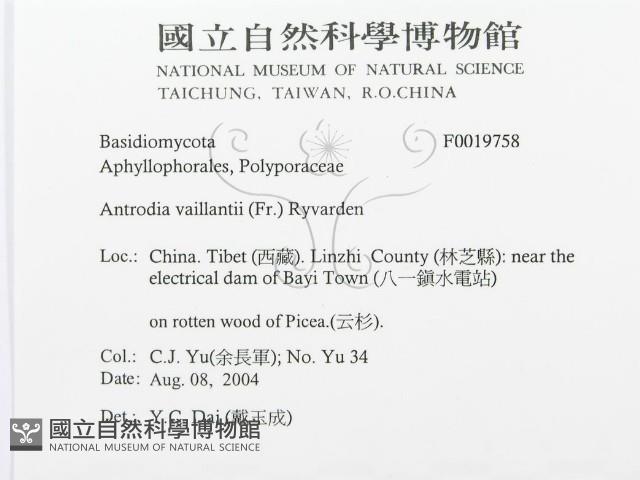 登錄號:F0019758藏品圖，第3張