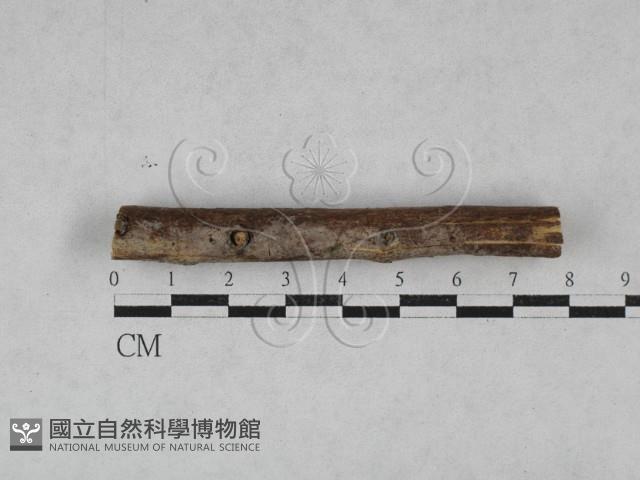 登錄號:F0028558藏品圖，第1張