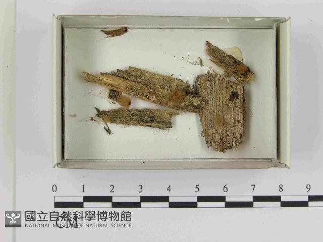 登錄號:F0021558藏品圖，第1張
