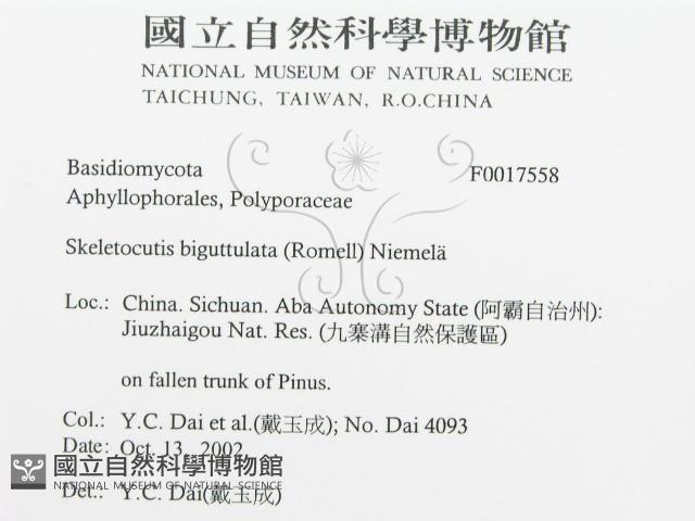 登錄號:F0017558藏品圖，第3張