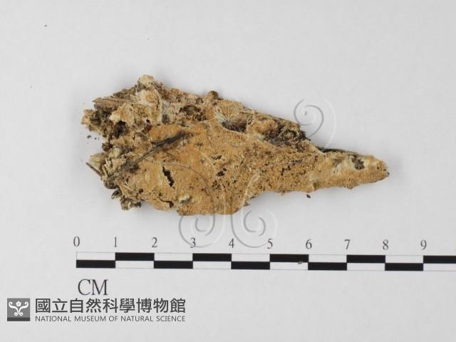 登錄號:F0025558藏品圖，第1張