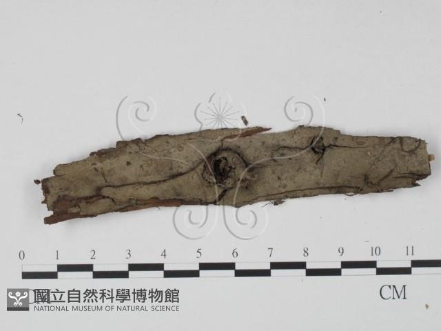 登錄號:F0020158藏品圖，第1張