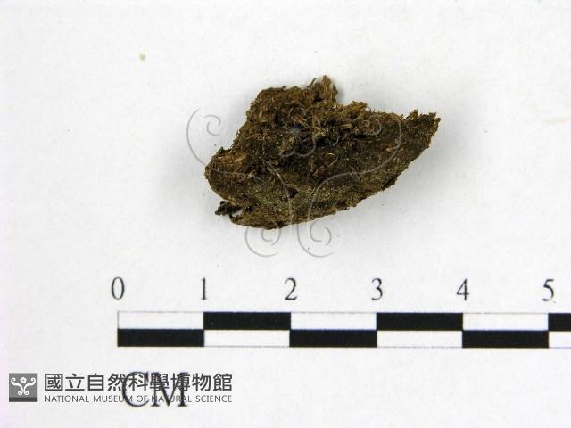 登錄號:F0000158藏品圖，第1張