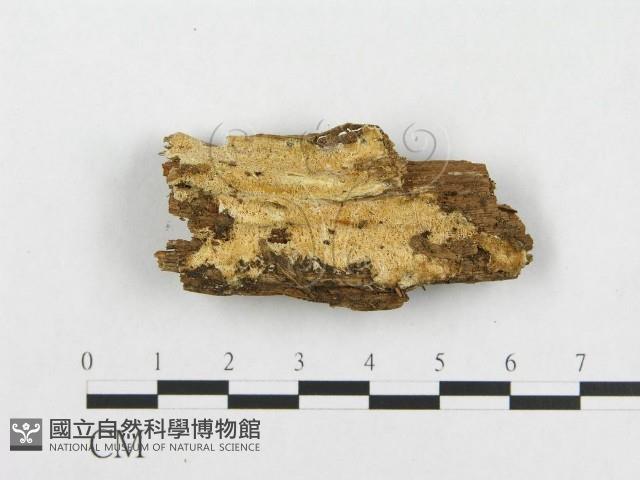 登錄號:F0014158藏品圖，第1張