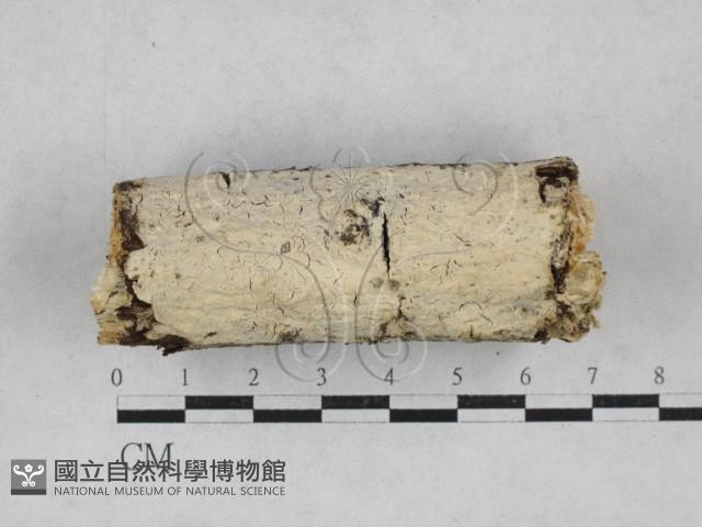 登錄號:F0028058藏品圖，第1張