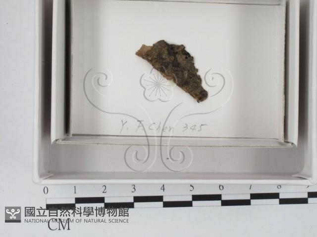 登錄號:F0018058藏品圖，第1張