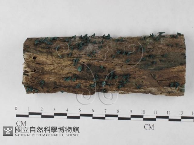 登錄號:F0024058藏品圖，第1張
