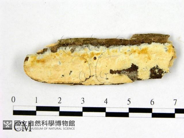 登錄號:F0022058藏品圖，第1張