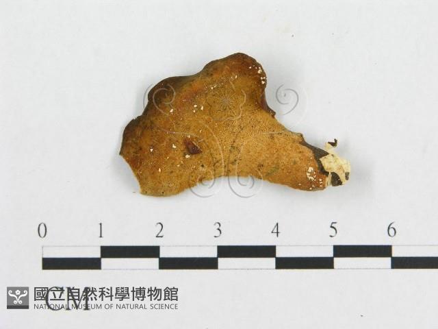 登錄號:F0007058藏品圖，第1張