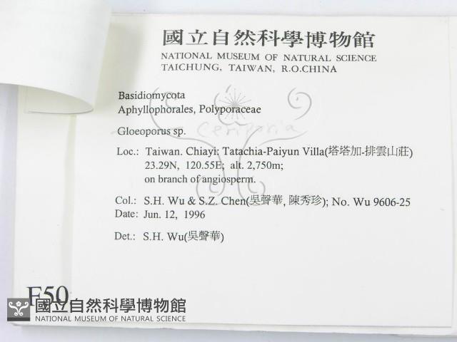 登錄號:F0005058藏品圖，第3張