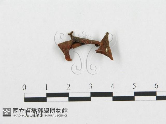 登錄號:F0009058藏品圖，第1張