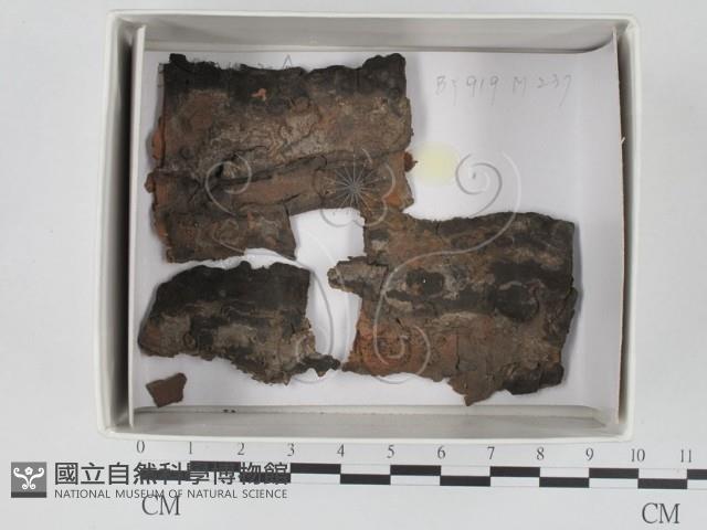 登錄號:F0018358藏品圖，第1張