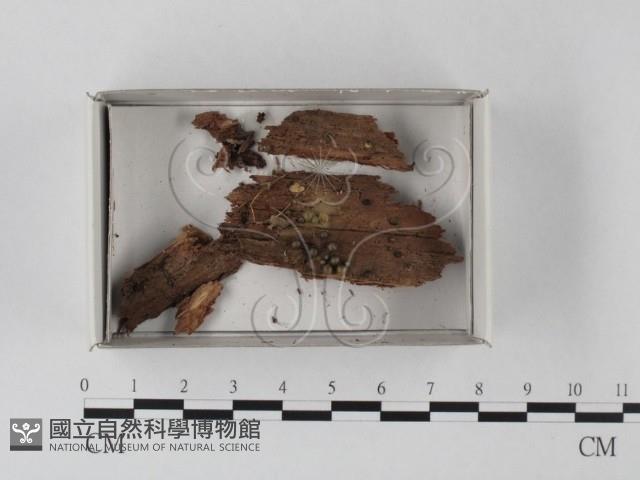 登錄號:F0021248藏品圖，第1張