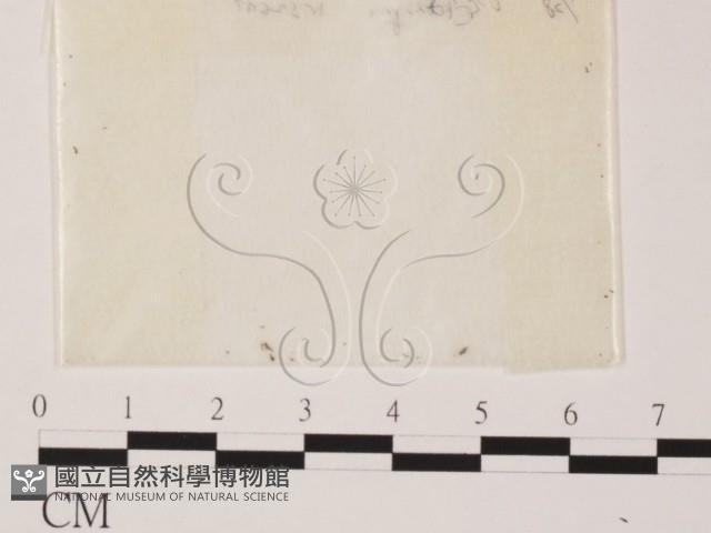 登錄號:F0002248藏品圖，第1張