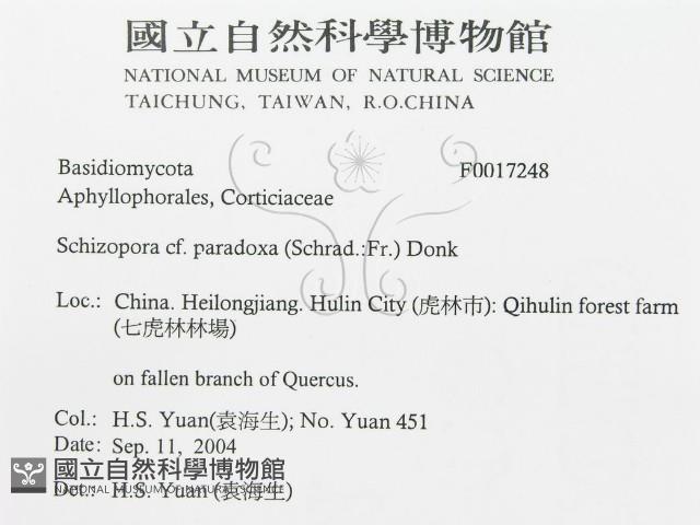 登錄號:F0017248藏品圖，第3張