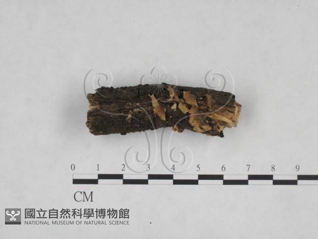 登錄號:F0025248藏品圖，第1張