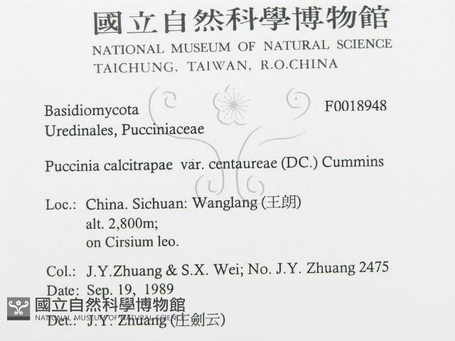 登錄號:F0018948藏品圖，第3張