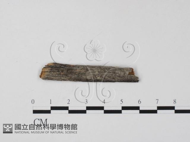 登錄號:F0011948藏品圖，第3張